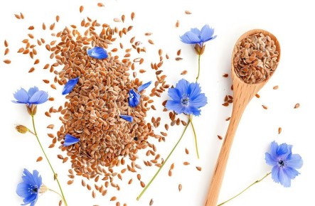 ������ ����: ���������� �������� � ��� �� ��������� �����������