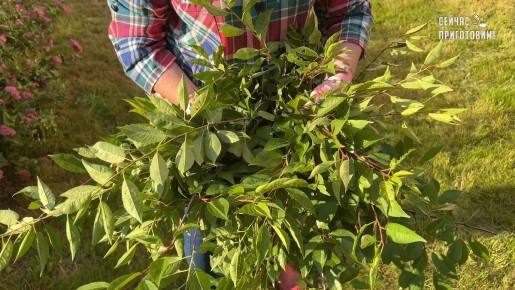 ��� �������� ������ ����� ������������ ������ �������