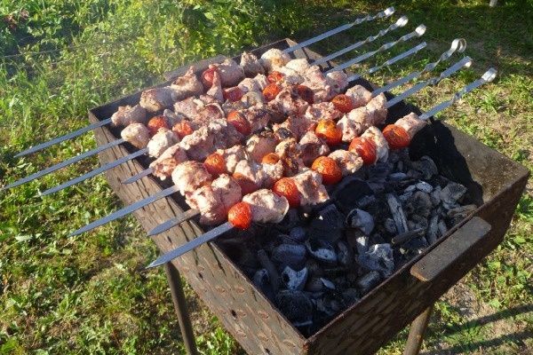 Шашлыки под контролем: новые требования для дачников в 2026 году