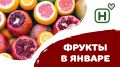 ������ ������: ������� ���������, ������� ������������ �������