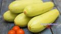 Нежная кабачковая запеканка с курицей — легкий рецепт для всей семьи