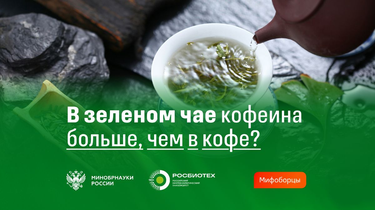 Кофеин в зеленом чае: как он сравнивается с кофе?