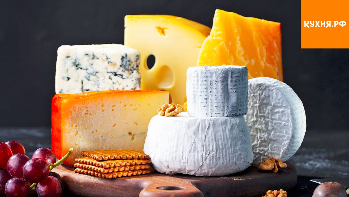 Сыротерапия: как вкусный наугад выбрать сыр для здоровья и фигуры